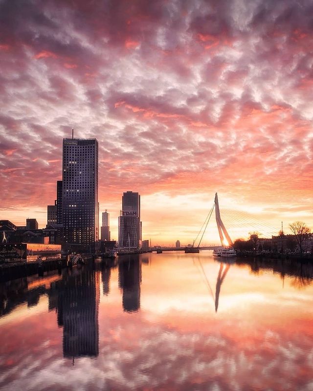 Rotterdam - Magical Sunset - Noordereiland - Vertical