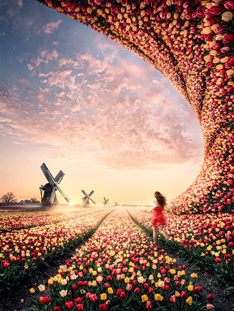 Dutch Desires - Giantific by Tim Waldekker